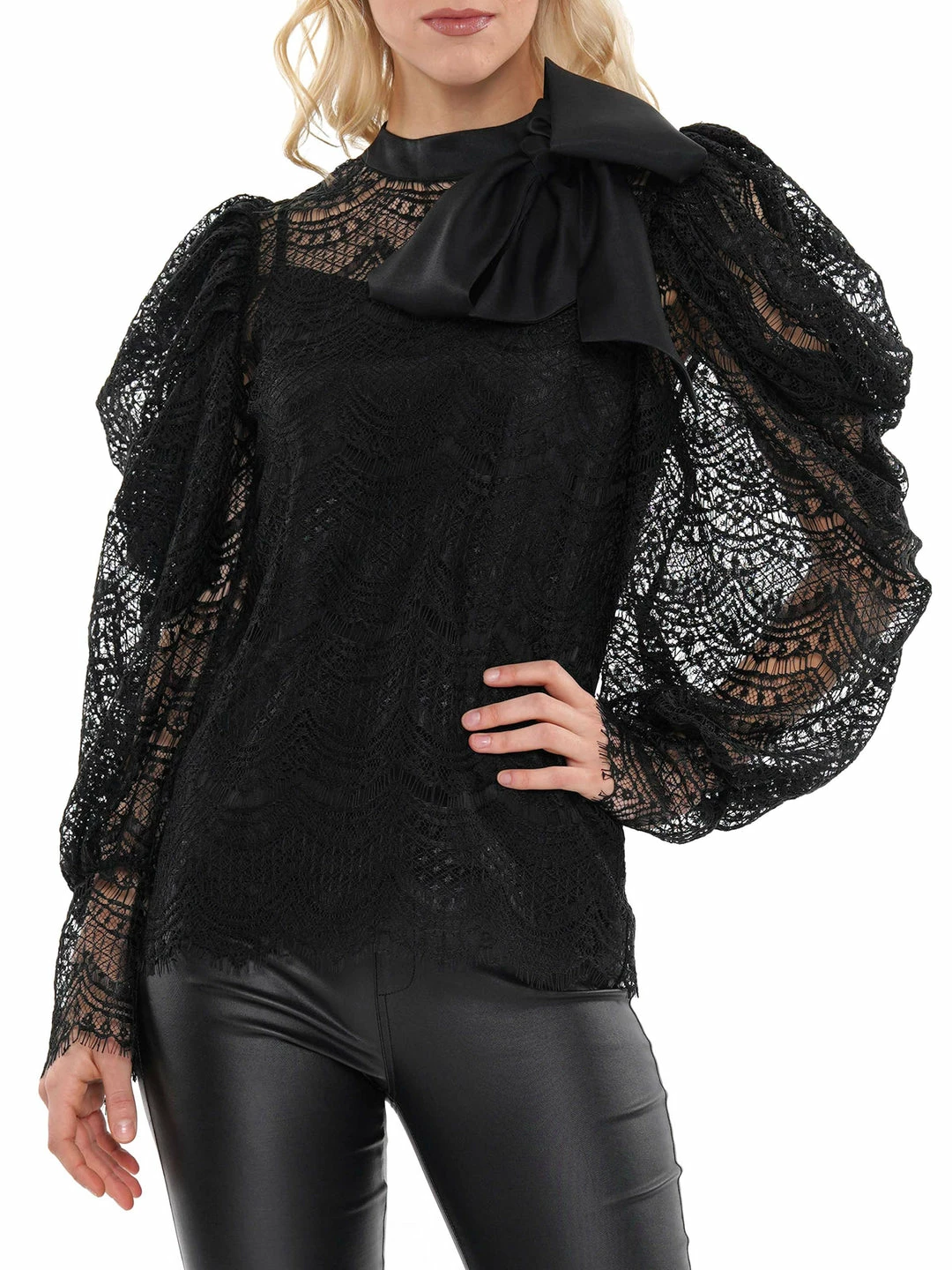 Why Dress Lace Puff Sleeve Blouse 7 Why Dress Lace Puff Sleeve Blouse